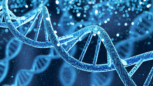 dna test